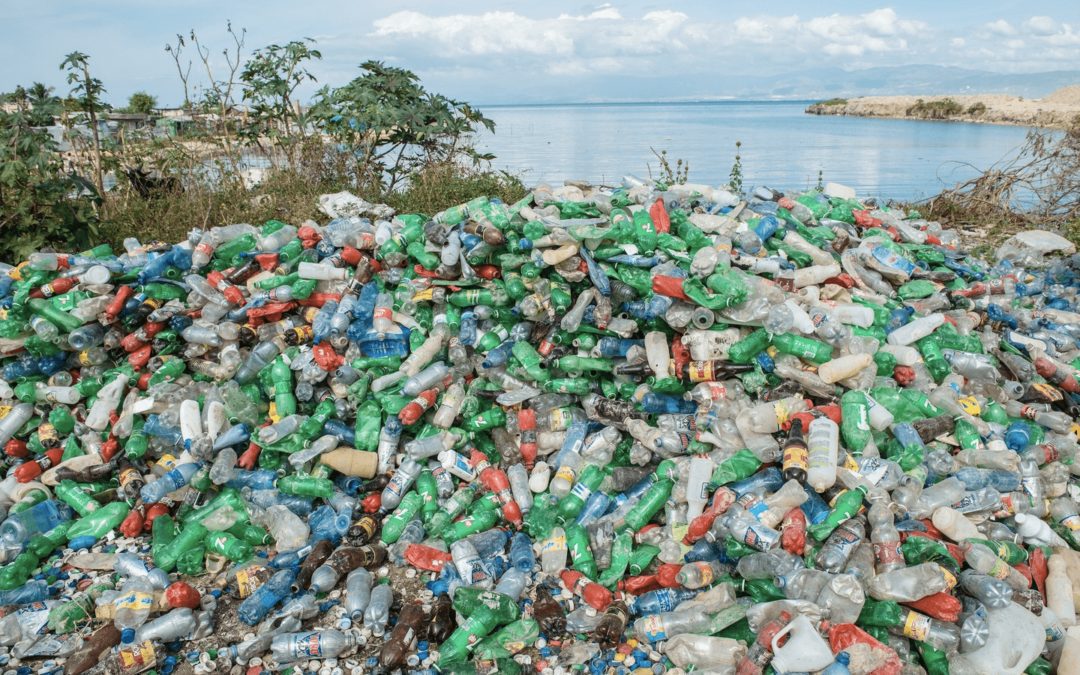 Ze světa: Čína ukončila odběr odpadů