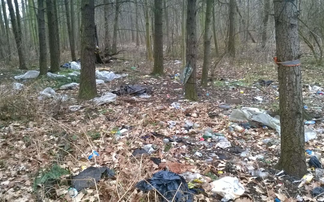 Zákon o odpadech, jak Česko naloží s odpady?