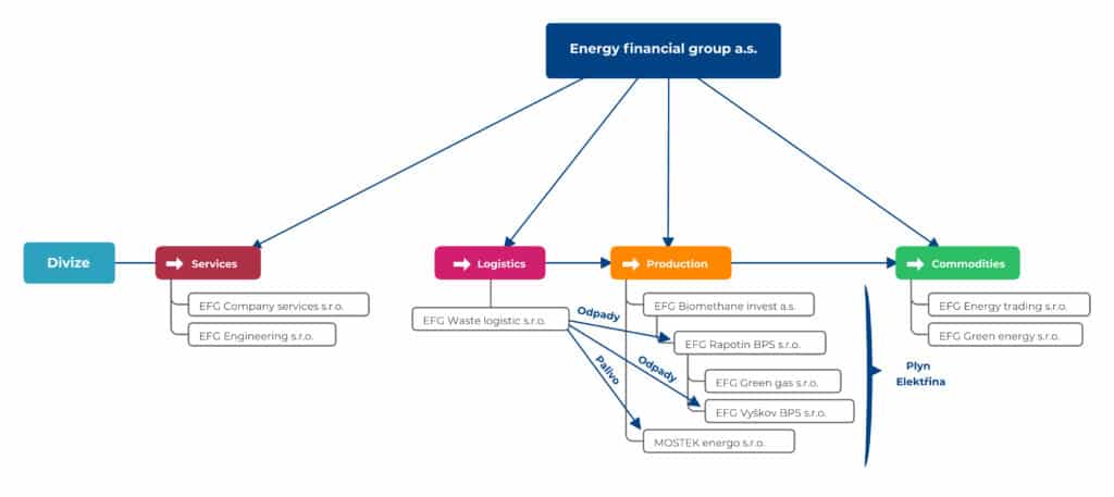 efg divizni system organigram