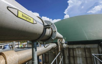 EBA: Elektřina z výroby biometanu může být ekonomičtější než z vodíku