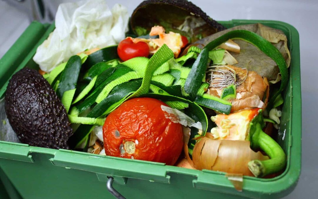 Stanovují se historické cíle snižování potravinového odpadu. Zbylou produkci je třeba recyklovat