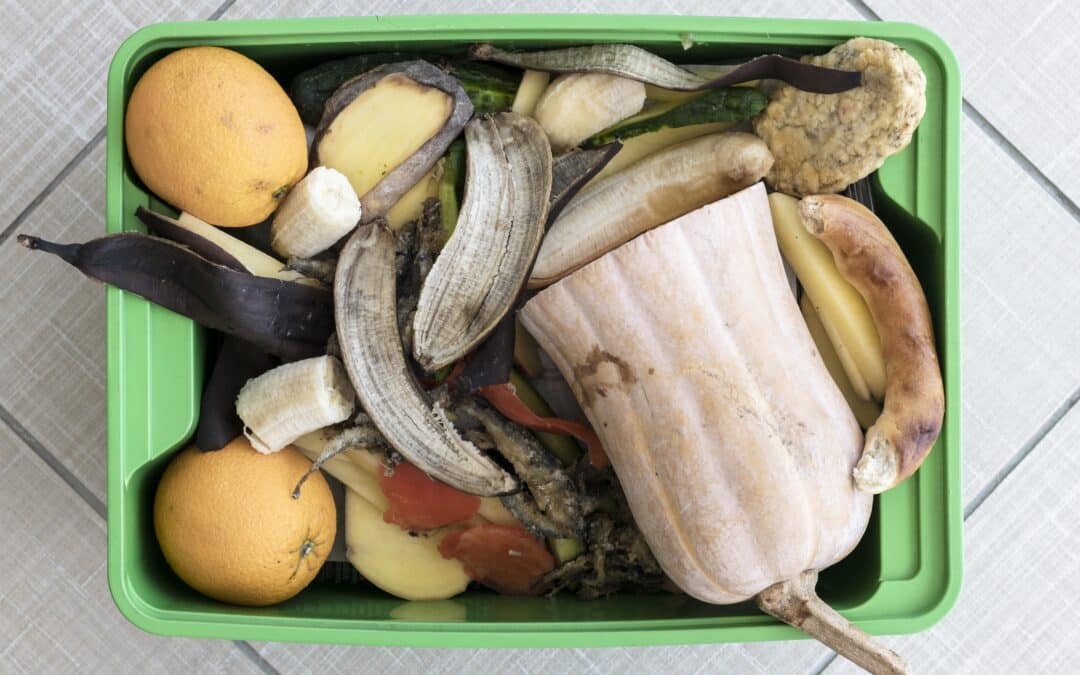 We help municipalities with separation requirements. In Šumperk, separated food waste increased by 246%.