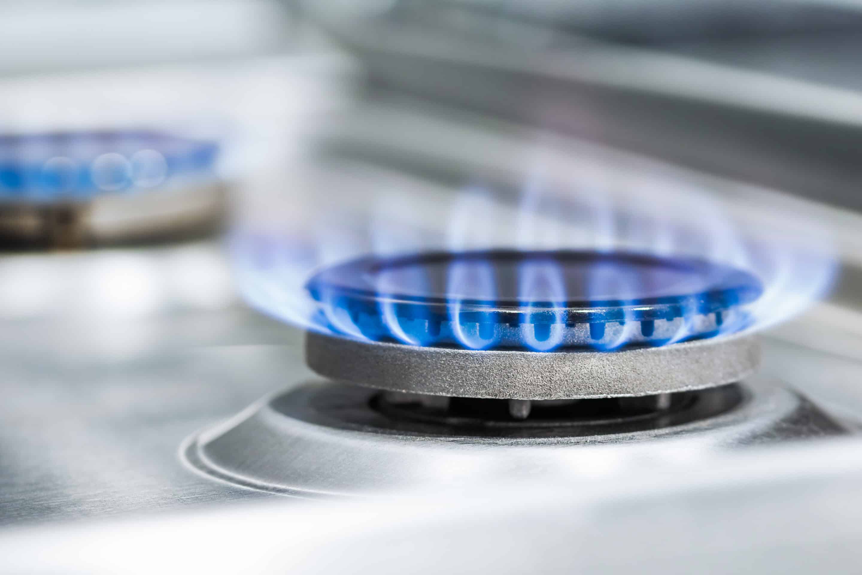 burning gas burners on a light background